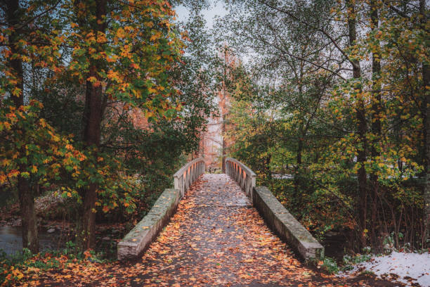 istock Stone bridge over a river in a park on an autumn day 1478749624