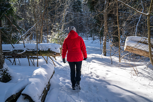 Woman hiking in snowy forest in Finland