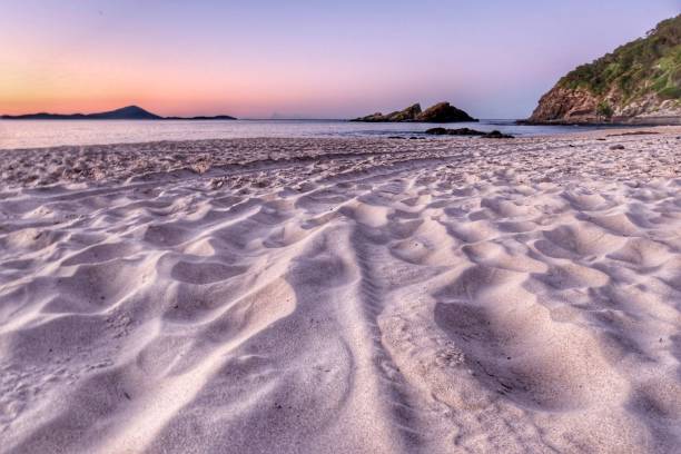 istock Beautiful sandy coastline with splashing waves at a pink sunset 1478755948