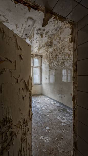 istock Empty room with peeling paint and a window in it in an abandoned building 1478757557