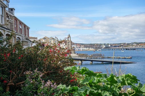 A shot of greenery and plants in the foreground with the buildings of Swanage, UK in the backgorund, and the port.