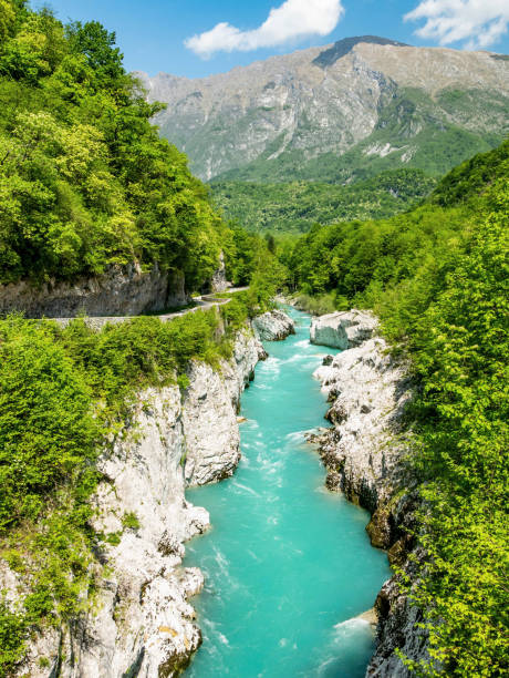 istock Emerald river in canyon surrounded by lush greenery. Soca river, Kobarid 1478758875