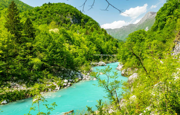 istock Emerald river surrounded by lush greenery on sunny day. Soca, Kobarid, Slovenia. 1478758921