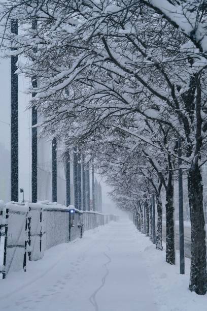 istock Scene in MIT after snowstorm 1478759395