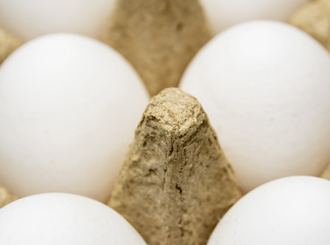 Close-up of white eggs in cardboard package, selective focus on cardboard.