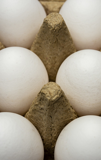 Close-up of white eggs in cardboard package. Selective focus on cardboard.