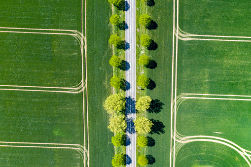 An aerial shot of a road in a field covered in greenery und the sunlight