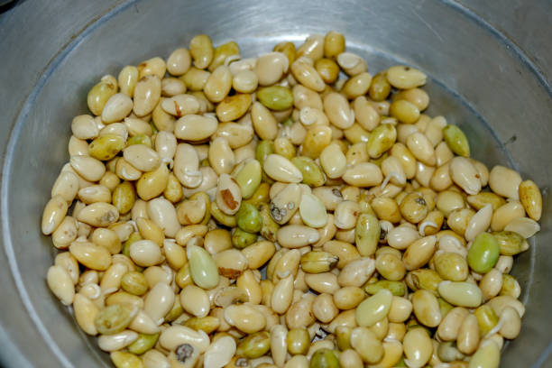 istock Beans in a glass bowl 1478763201