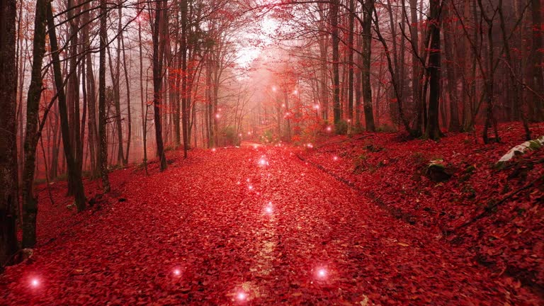 Autumn coloured forest with firefly animation.