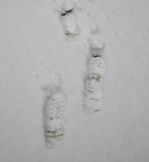 istock Vertical shot of footprints in the snow 1478766161