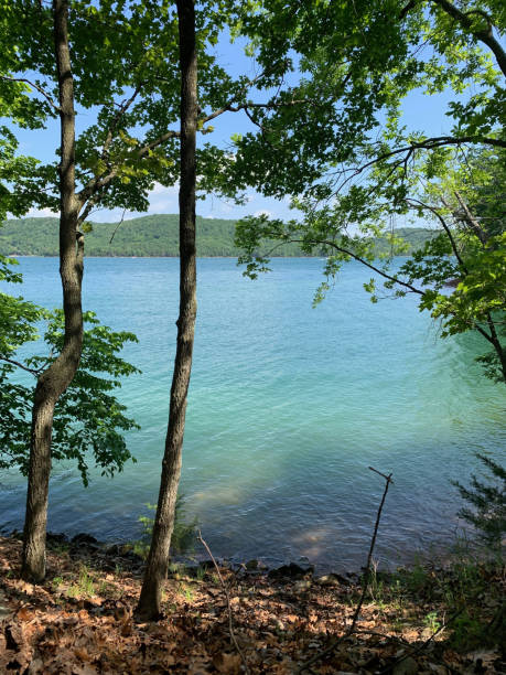 istock Vertical shot of a lake surrounded by forested lands 1478768408