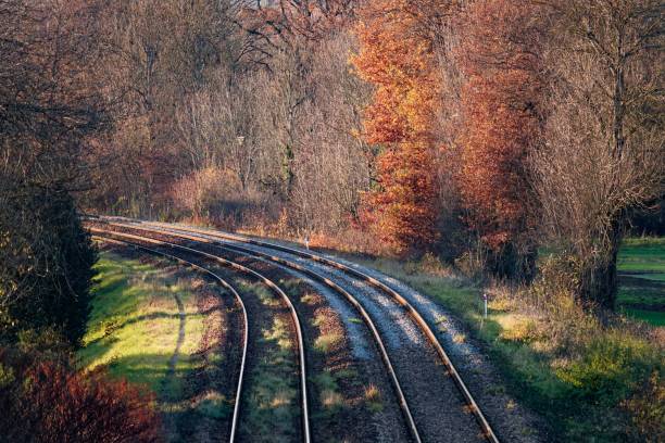 istock Railway tracks surrounded by autumn trees 1478770449