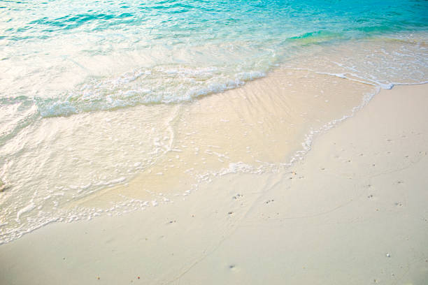 Calm natural beach in Maldives on a sunny day.