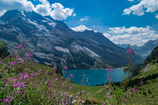 istock Oeschinensee lake in Swiss Alps 1478772434