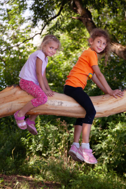 istock Two little girls sitting on the tree without bark 1478773039