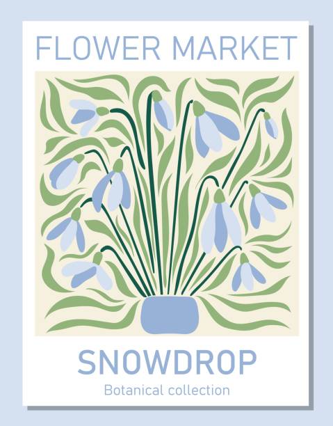 modna botaniczna sztuka ścienna przebiśniegów. szablon koncepcyjny plakatu targu kwiatowego idealny do pocztówek, grafiki ściennej, banera - flower market stock illustrations