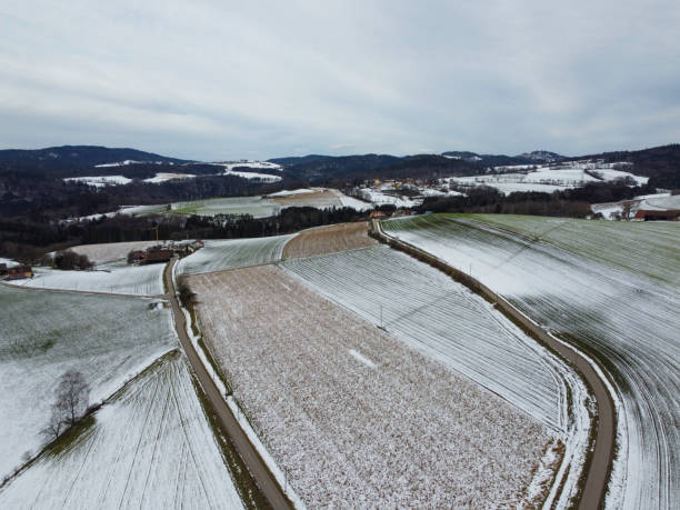 istock winter with agricultural fields covered with snow on a cloudy day 1478788957