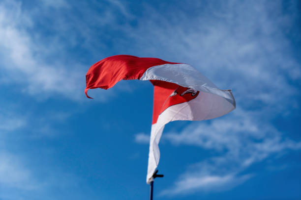 istock flag flies against a blue white sky 1478790750
