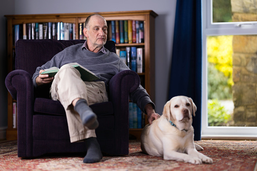 Caucasian man in his 60s reading a book in his study with his faithful dog by his side.