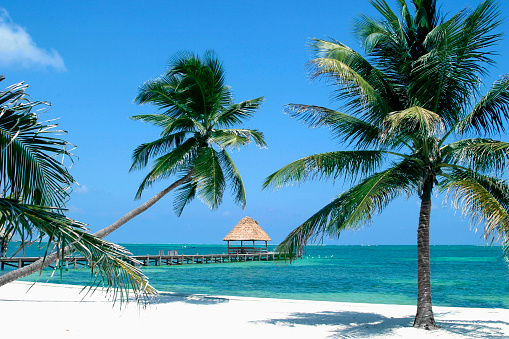 Beautiful and relaxing beach in Belize