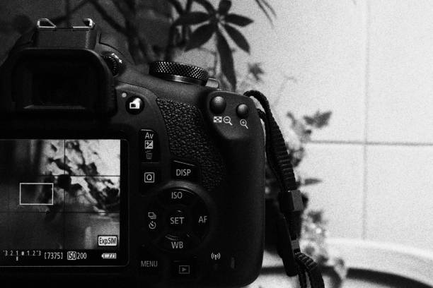 istock Digital Camera Photographing a Scene. Monochromatic Black and White Tones 1478809561