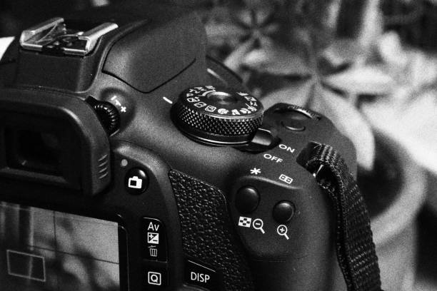 камера фотографирует сцену. монохроматические черно-белые тона - цифровой фотоаппарат стоковые фото и изображения