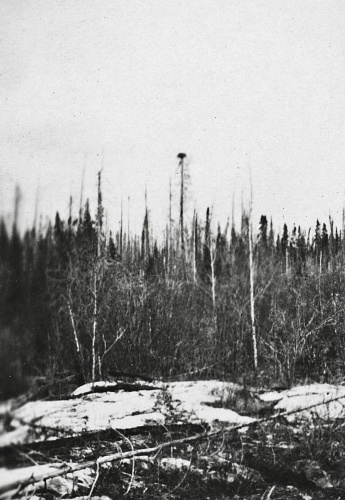 The wilderness landscape at Wekusko Lake in Manitoba, Canada. Vintage photograph ca. 1924.