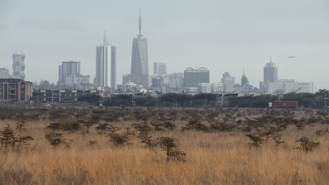 LS Southern Bypass along the Nairobi National Park with Nairobi financial distring in the background