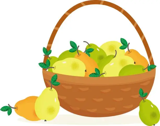 Vector illustration of basket peares