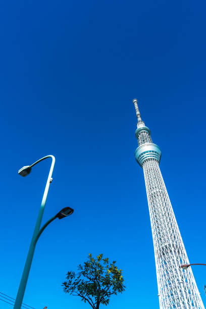 istock Tokyo Japan, sky tree, shot from Sumida ward 1478828529