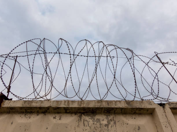 istock Coiled barbed wire fencing against a blue sky background 1478828689