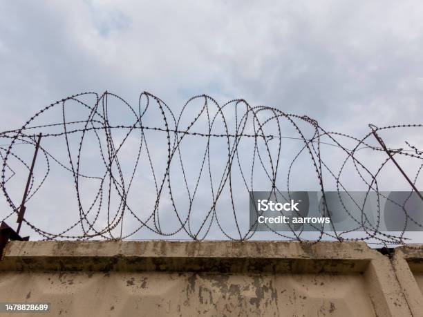 Coiled Barbed Wire Fencing Against A Blue Sky Background Stock Photo - Download Image Now