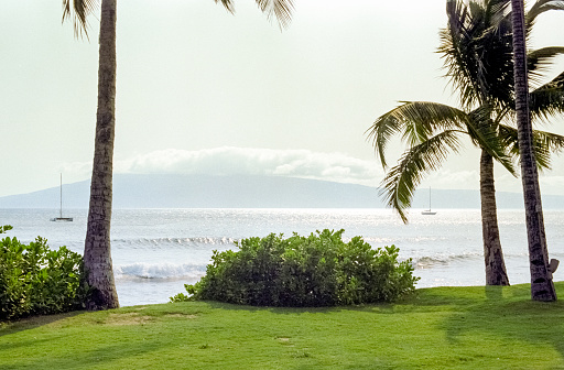 Film photograph of a vibrant Hawaiian volcanic orange sunset over the ocean horizon between palm trees.