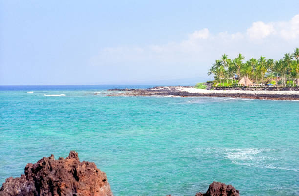istock Maui Lava Field 1478832908