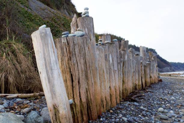 istock Wooden Wall on Beach 1478836138