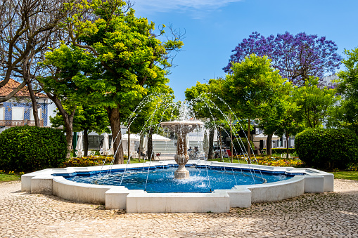 In the Jardim Primeiro de Dezembro park in Portimão, the Fonte do Jardim 1 de Dezembro fountain creates a delightful splash among flowers and a coffee bar nestled beneath a purple jacaranda tree.