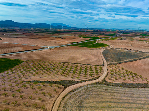 Aerial viev of Vineyard vines, fruit trees and windmills generating green electricity in Aragon Spain on the Campo de Borja Carinena area of Zaragoza