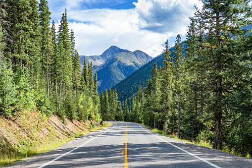 Deserted US 550 along an evergreen tree lined Colorado Rocky Mountain scenic landscape with blue sky and clouds.