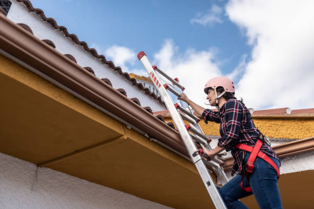 istock Woman expert in vertical work with a helmet and harness, working on the installation and maintenance of solar panels, climbing stairs 1478858777