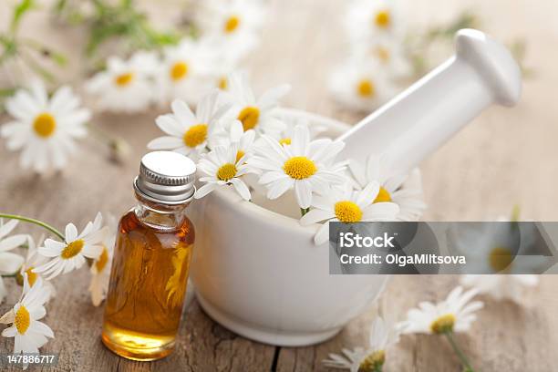 Essential Oil And Camomile Flowers In Mortar Stock Photo - Download Image Now - Daisy, Cooking Oil, Alternative Therapy