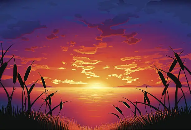 Vector illustration of lakeside sunset