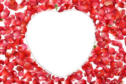 The heart shape of red petals on white background.  Valentine's day with beautiful rose petals. Love backdrop
