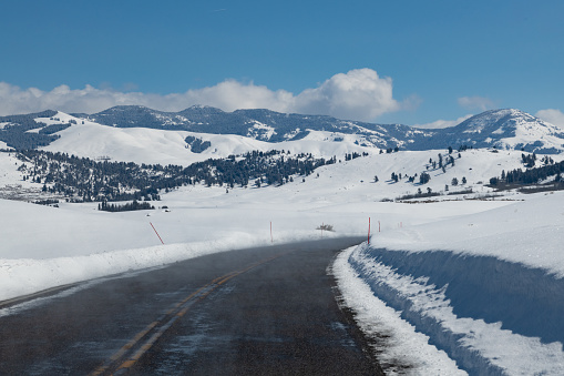 Yellowstone Lamar Valley highway to Cooke City,Montana