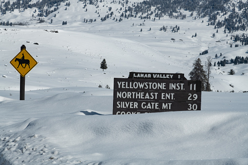 Information highway sign at northeast Yellowstone Tower junction in northwestern Wyoming, USA.