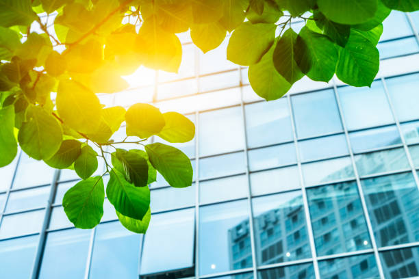 istock modern office building with green leaves 1478883290