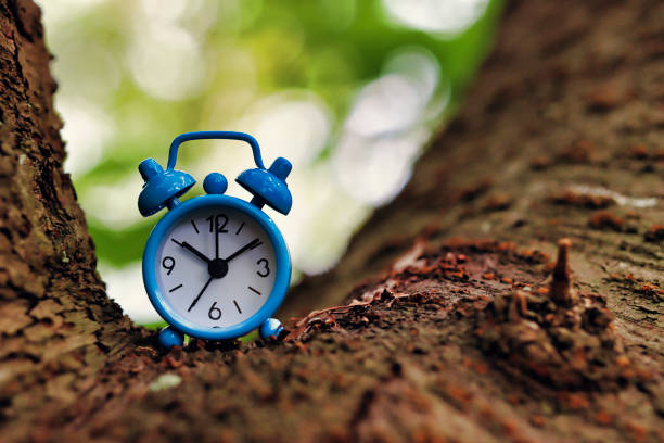 Wood and light blue alarm clock
