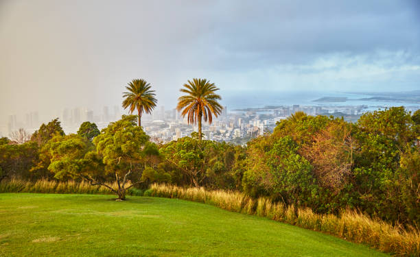 istock View overlooking Honolulu, Hawaii during a Rainy Sunrise 1478887489