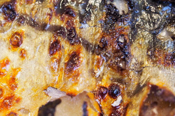 istock charred mackerel salt grilled texture 1478890299
