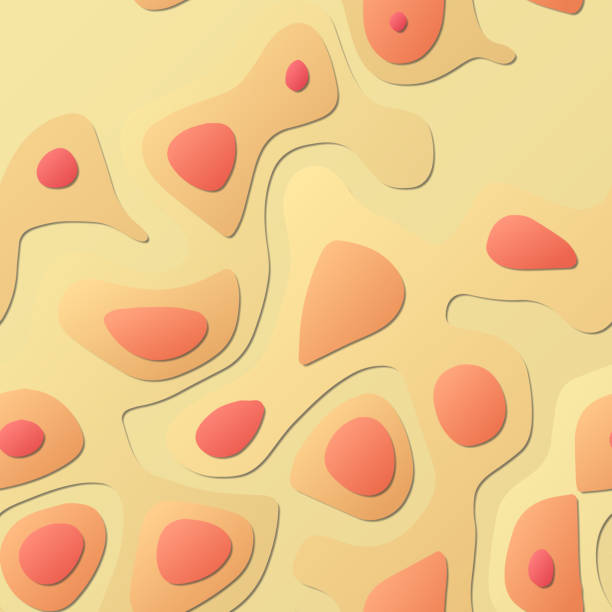 istock Colorful abstract layers. Papercut style background. Vibrant 3d topography shapes. Astonishing banner, poster, brochure, template, flyer design. Awesome vector illustration. 1478893679