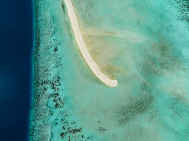 istock Tropical sandy beach. Semporna, Sabah, Malaysia. 1478895553